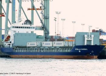 Nebojša B. Vasiljević