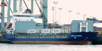 Nebojša B. Vasiljević