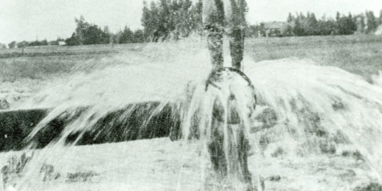 Beogradska voda 1874.