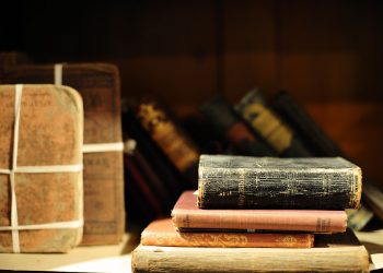 Pesnička karijera započinjala je sa 22 godine