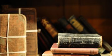 Pesnička karijera započinjala je sa 22 godine